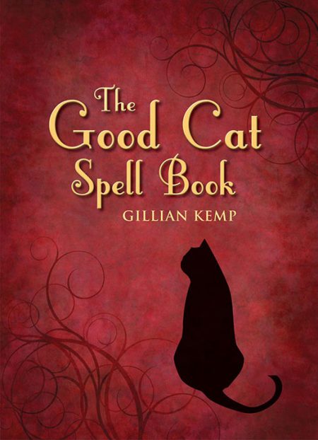 Магический коллаж. The kiffness alugalug. Spell cats. Магический кот. Wrong spelling.